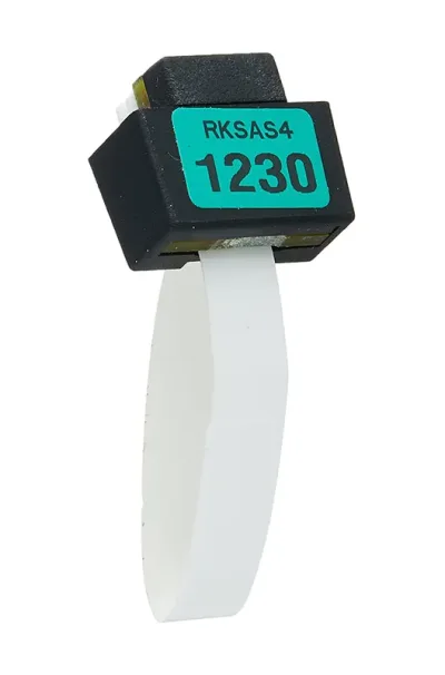 030-2755-001 - HP Intel RkSAS4 Storage Key
