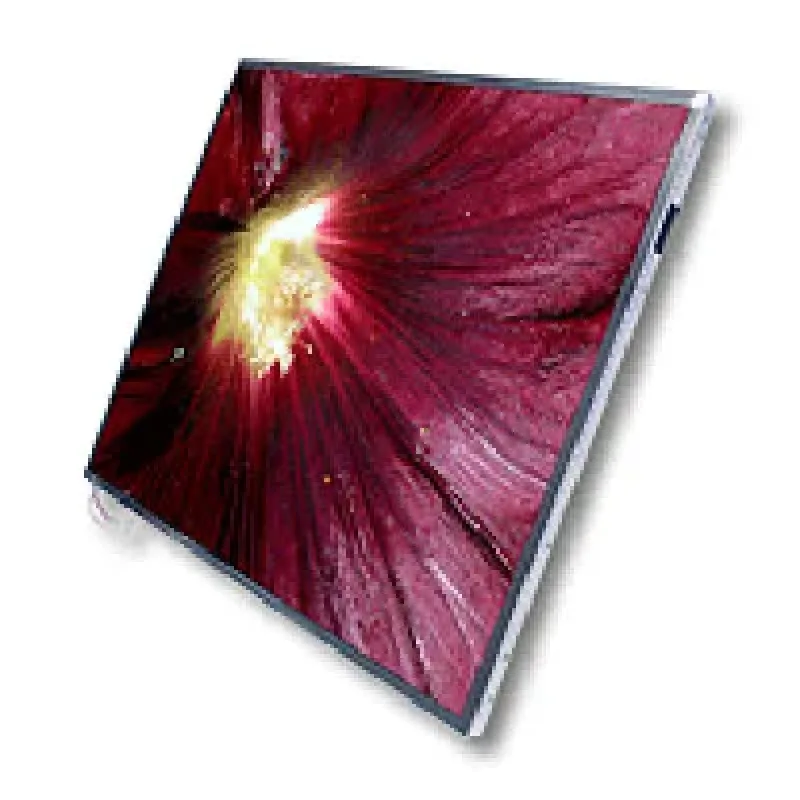 18G241706662 - Asus 17-inch WUXGA 1920X1200 LCD Laptop Screen