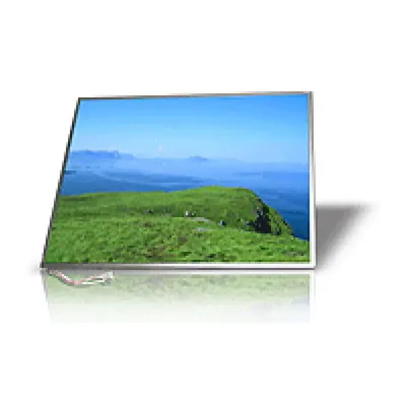 18G241706662L - Asus 17-inch WUXGA 1920X1200 LCD Laptop Screen