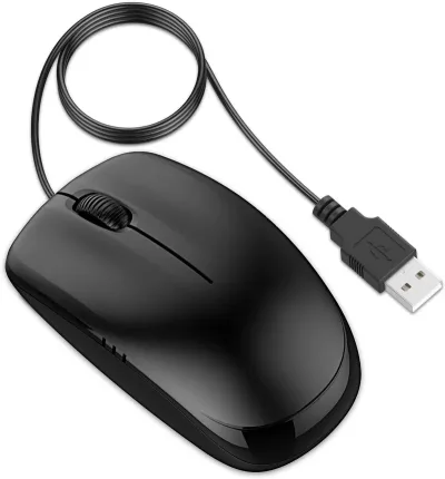 390938-001 - HP 2 Button Mouse