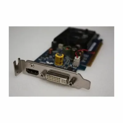 503107-001 - HP Geforce G100 256MB DDR2 PCI-Express Dvi HDMI Low Profile Video Graphics Card