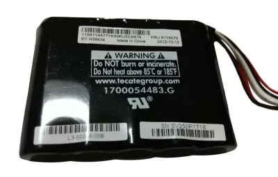81Y4508 - IBM ServeRAID M5100 Series Battery Kit for System x