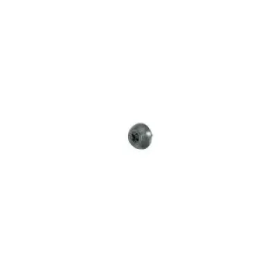 922-6253 - Apple Hard Drive Overmold Rail Screw for Power Mac G5