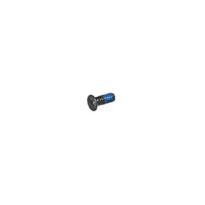 922-8981 - Apple M1.6X3.85L Screw for MacBook Pro 17