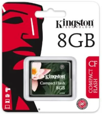 Kingston KCS-FM1700/16 16MB mini-Flash Memory Card