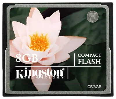 Kingston KCS-FM800/16 16MB mini-Flash Memory Card