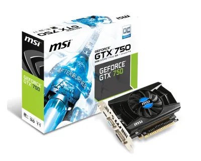 MSI N750-1GD5/OC VGA Nvidia Gtx750 1GB GDDR5 Video Graphics Card