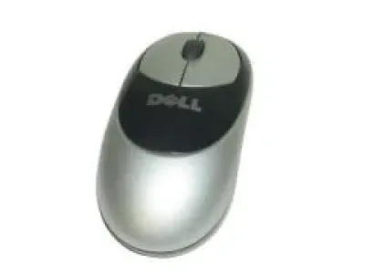 T0179 - Dell Wireless Optical Mouse