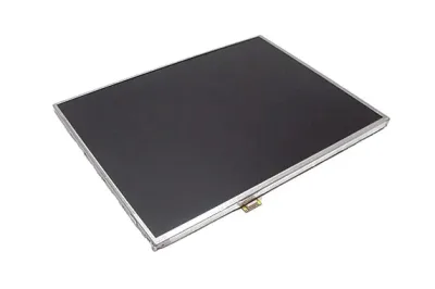 WP576 - Dell 15.4-inch (1440 x 900) WXGA+ LED Panel